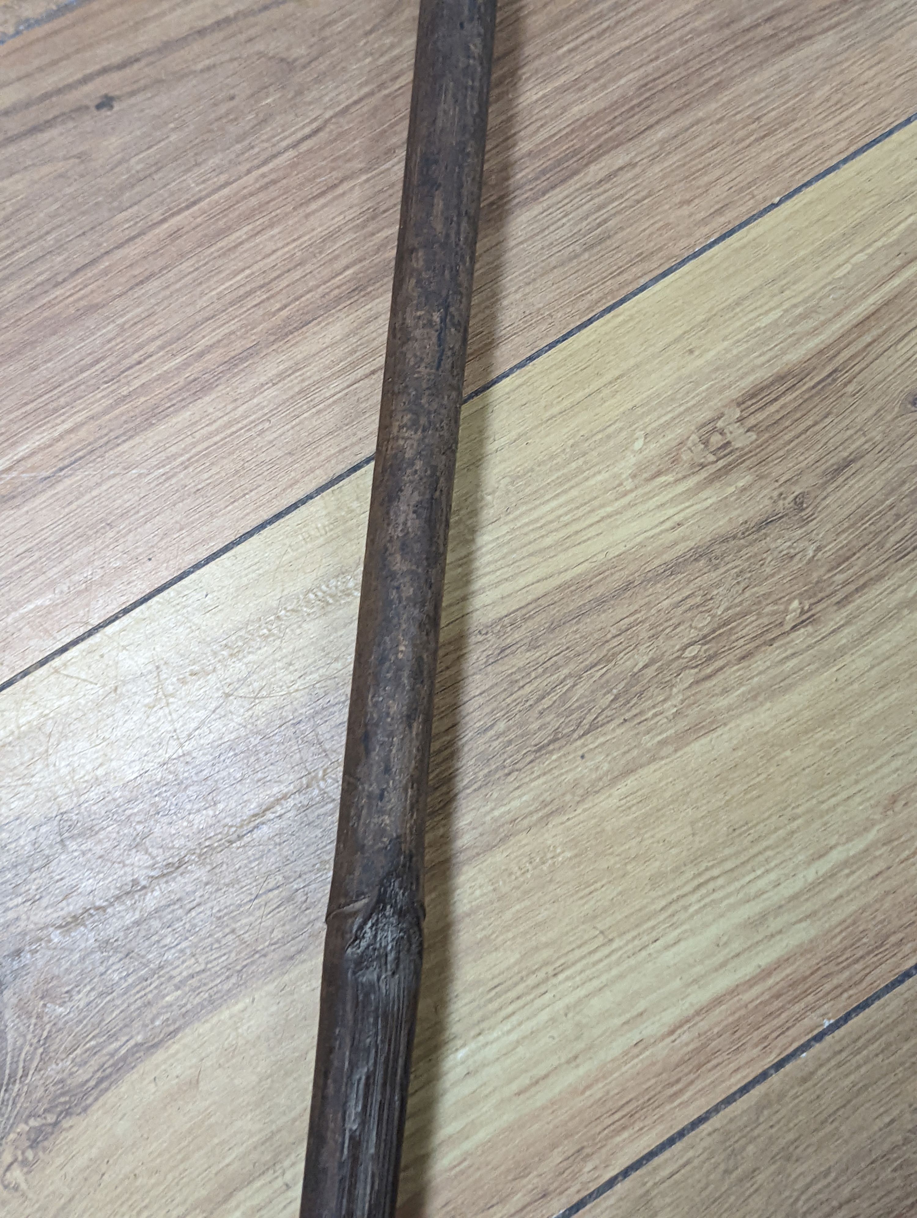 Two East Africa, Transvaal (Zululand) spears, 236cm